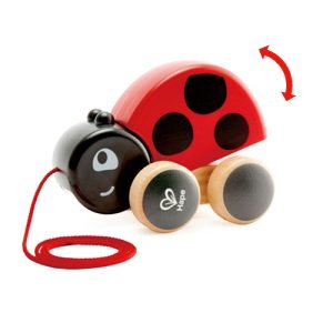 Pull along Lady bug