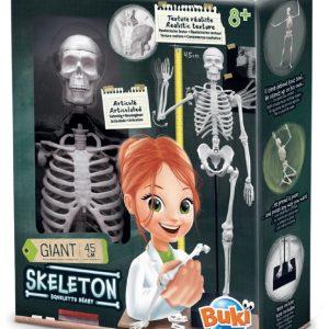Squelette 45 cm